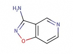 Isoxazolo[4,5-c]pyridin-3-amine