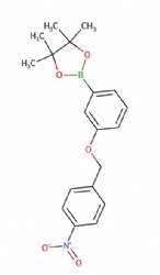 4,4,5,5-tetramethyl-2-(3-((4-nitrobenzyl)oxy)phenyl)-1,3,2-dioxaborolane