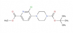 tert-butyl 4-(2-chloro-6-(methoxycarbonyl)pyridin-3-yl)piperazine-1-carboxylate