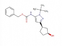 benzyl N-[2-tert-butyl-5-[(1R,3S)-3-hydroxycyclopentyl]pyrazol-3-yl]carbamate
