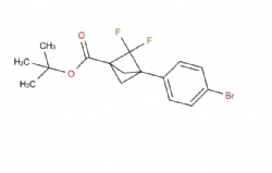 tert-butyl 3-(4-bromophenyl)-2,2-difluorobicyclo[1.1.1]pentane-1-carboxylate