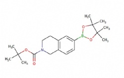 tert-butyl 6-(4,4,5,5-tetramethyl-1,3,2-dioxaborolan-2-yl)-3,4-dihydroisoquinoline-2(1H)-carboxylate
