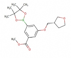 methyl (S)-3-((tetrahydrofuran-3-yl)methoxy)-5-(4,4,5,5-tetramethyl-1,3,2-dioxaborolan-2-yl)benzoate