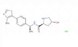 (2S,4R)-4-hydroxy-N-((S)-1-(4-(4-methylthiazol-5-yl)phenyl)ethyl)pyrrolidine-2-carboxamide hydrochloride