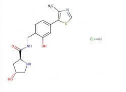 (2S,4R)-4-hydroxy-N-(2-hydroxy-4-(4-methylthiazol-5-yl)benzyl)pyrrolidine-2-carboxamide hydrochloride