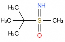 tert-Butyl(imino)(methyl)-l6-sulfanone