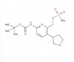 (6-((tert-butoxycarbonyl)amino)-3-(tetrahydrofuran-3-yl)pyridin-2-yl)methyl methanesulfonate