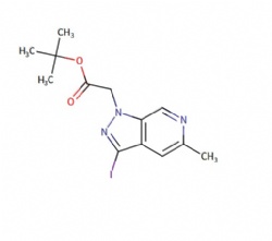 tert-butyl 2-(3-iodo-5-methyl-1H-pyrazolo[3,4-c]pyridin-1-yl)acetate