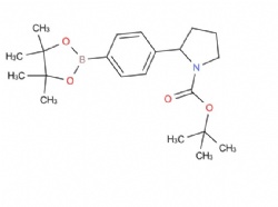 tert-butyl 2-(4-(4,4,5,5-tetramethyl-1,3,2-dioxaborolan-2-yl)phenyl)pyrrolidine-1-carboxylate