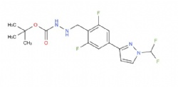 tert-butyl 2-(4-(1-(difluoromethyl)-1H-pyrazol-3-yl)-2,6-difluorobenzyl)hydrazine-1-carboxylate