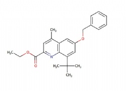 ethyl 6-(benzyloxy)-8-(tert-butyl)-4-methylquinoline-2-carboxylate