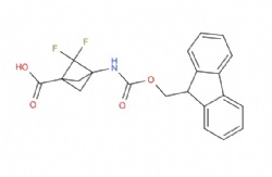 3-((((9H-fluoren-9-yl)methoxy)carbonyl)amino)-2,2-difluorobicyclo[1.1.1]pentane-1-carboxylic acid