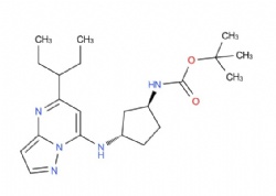 tert-butyl ((1S,3S)-3-((5-(pentan-3-yl)pyrazolo[1,5-a]pyrimidin-7-yl)amino)cyclopentyl)carbamate