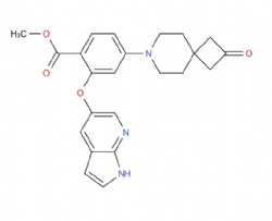 methyl 2-((1H-pyrrolo[2,3-b]pyridin-5-yl)oxy)-4-(2-oxo-7-azaspiro[3.5]nonan-7-yl)benzoate