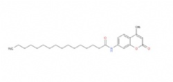 N-(4-methyl-2-oxo-2H-chromen-7-yl)palmitamide