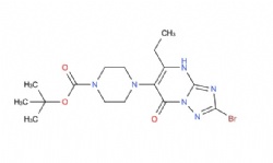 tert-butyl 4-(2-bromo-5-ethyl-7-oxo-4,7-dihydro-[1,2,4]triazolo[1,5-a]pyrimidin-6-yl)piperazine-1-carboxylate