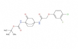 tert-butyl (4-(2-(4-chloro-3-fluorophenoxy)acetamido)-2-oxobicyclo[2.2.2]octan-1-yl)carbamate